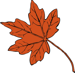 Red Maple Transparent U0026 Png Clipart Free Download - Ywd Maple Leaves Clipart