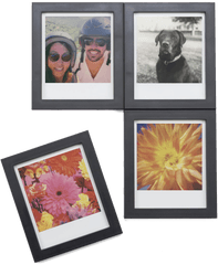 Httpseupolaroidcom Daily Httpseupolaroidcomproducts - Wildflower Png