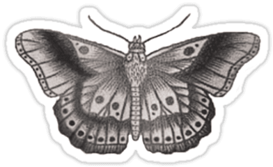 Styles Butterfly Tattoo Transparent - Tatuajes De Harry Styles Png