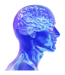 Download Colorado Neurological Institute - Brain Power Png Abnormal Psychology Png