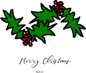 Holidays Holly Leaf Plant For Christmas - Christmas Clipart Clip Art Png