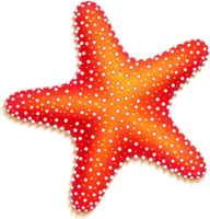 Cute Starfish File - Free PNG