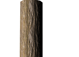 Tree Trunk Free Transparent Image HQ - Free PNG