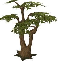 Jungle Tree Transparent Picture - Free PNG