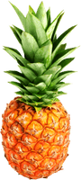 Pineapple Png Clipart