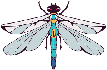 Transparent Png - Dragonfly Png Vector