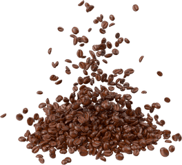 Download Coffee Beans Png Image For Free - Png Images Of Coffee Bean