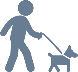 Chicagos Dog Walkers And Pet Sitters - Dog Out For A Walk Png