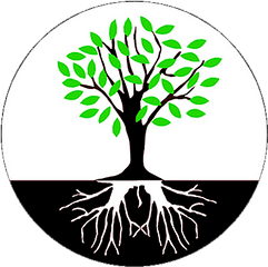 Tree Roots Png Download - Root Cause Not Symptoms