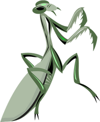 Praying Mantis Clipart Png - Pray Mantis Clipart Transparent