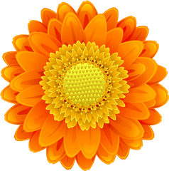 Orange Flowers Clipart - Orange Flower Clipart Png