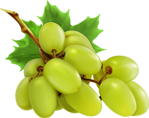 White Grapes Png Clipart - Green Grapes Vector Png