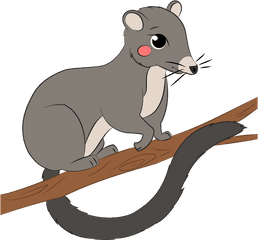 Clipart - Mouse Png