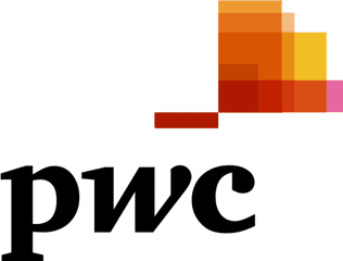 Security Audits Play Critical Role - Transparent Pwc Logo Png