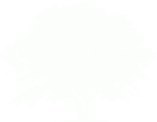 White Tree 9 Icon - Free White Tree Icons Transparent White Silhouette Of Tree Png