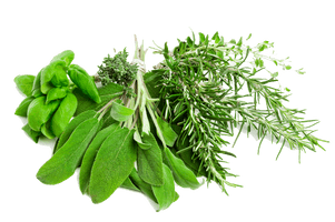 Herbs - Free PNG