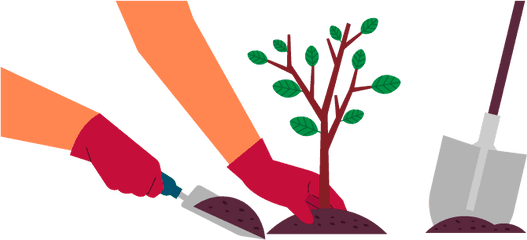 Planting Clipart Tree - Plant A Tree Clipart Png