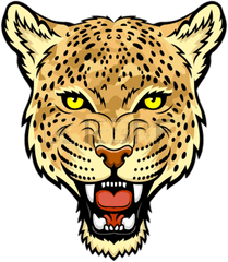 Jaguar Face Png - Leopard Face Drawing