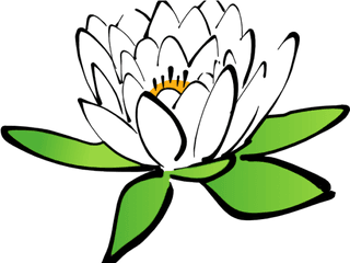 Flower Clipart Transparent Background - Lotus Drawing With Cartoon Flowers Transparent Background Png