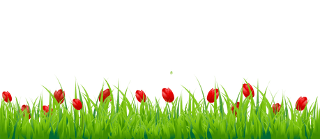 Grass Natural Free HQ Image - Free PNG