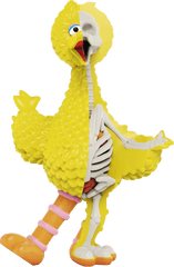 Jason Freeny X Mighty Jaxx Sesame - Big Sesame Streert Png