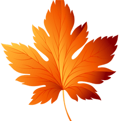 Autumn Leaves - Autumn Leaf Vector Png