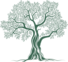 Download Olive Tree Logo Png Image - Olive Tree Logo