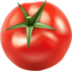 Tomatos Png Clip Art Image Veggies