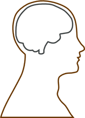 Brain Clipart Images Free Download - Brain Head Outline Png