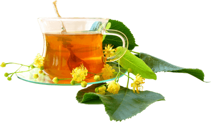 Herbal Tea Png Images - Herbal Tea Png