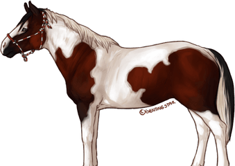 Eventingstar Horse Sim Game Indiegogo - Horse Star Stable Transparent Png