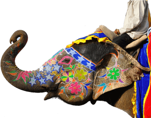 Jaipur Elephant Festival Png Clipart