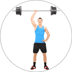 Animals - Weightlifter White Background Png