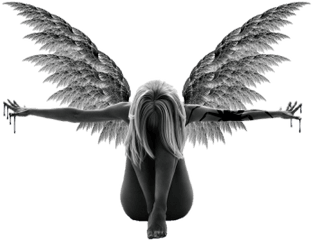 Angel Girl Darkness Transparent Wings - 26875 Wing Angle And Devil Png