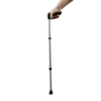 Walking Stick HD PNG Download Free