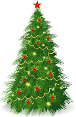 Download Delightful Christmas Tree - Christmas Tree Clipart Png