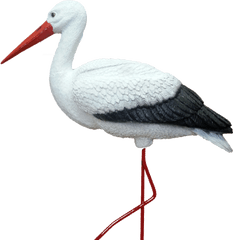 Stork Png - Png