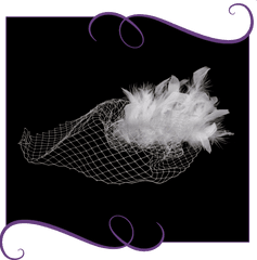 Feather Birdcage Veil - Headpiece Png