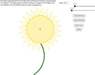 Golden Spiral Png - Golden Sunflower Circle 1724228 Circle