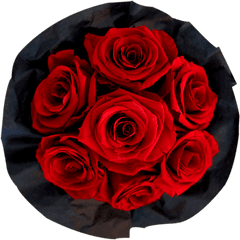 Red Bouquet - Floribunda Png