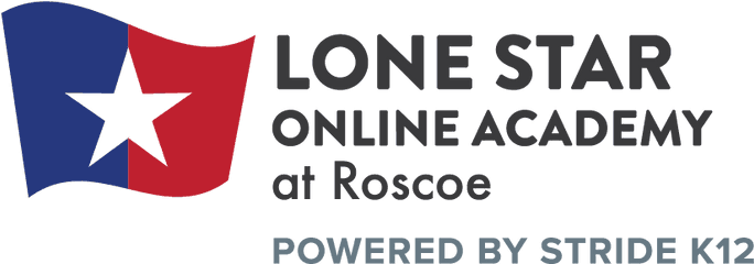 How To Enroll Lone Star Online Academy - Guinness Record Png