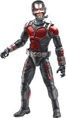 Download Ant - Ant Man Transparent Background Png