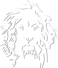 Lion - Logowhiteshadow Shadow Lion Logo Png