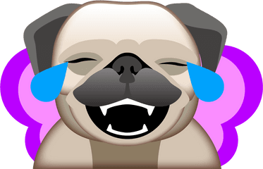 What Is Snapchat Hub Three - Pug Png