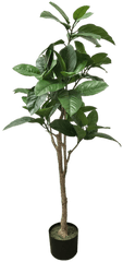 Tropical Tree - Alte Piante Finte Da Interno Png