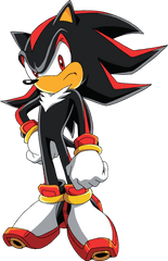 Download Sonic X Signature Pose - Shadow The Hedgehog Sonic X Png