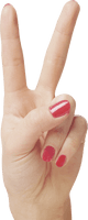 Hands Png Hand Image