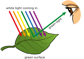 Opaque And Transparent Substances - Do We See Light Png