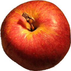 Filedg Applepng - Wikimedia Commons Apples File Png