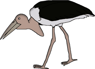 Marabou Stork - Wildlife Animal Pedia Rhino Png